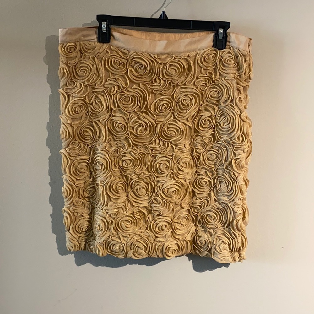 Banana Republic Skirt